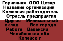 Горничная. ООО Цезар › Название организации ­ Компания-работодатель › Отрасль предприятия ­ Другое › Минимальный оклад ­ 1 - Все города Работа » Вакансии   . Челябинская обл.,Копейск г.